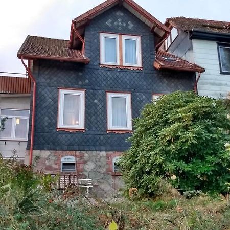 Vakantiehuis Julia Villa Bad Sachsa Esterno foto