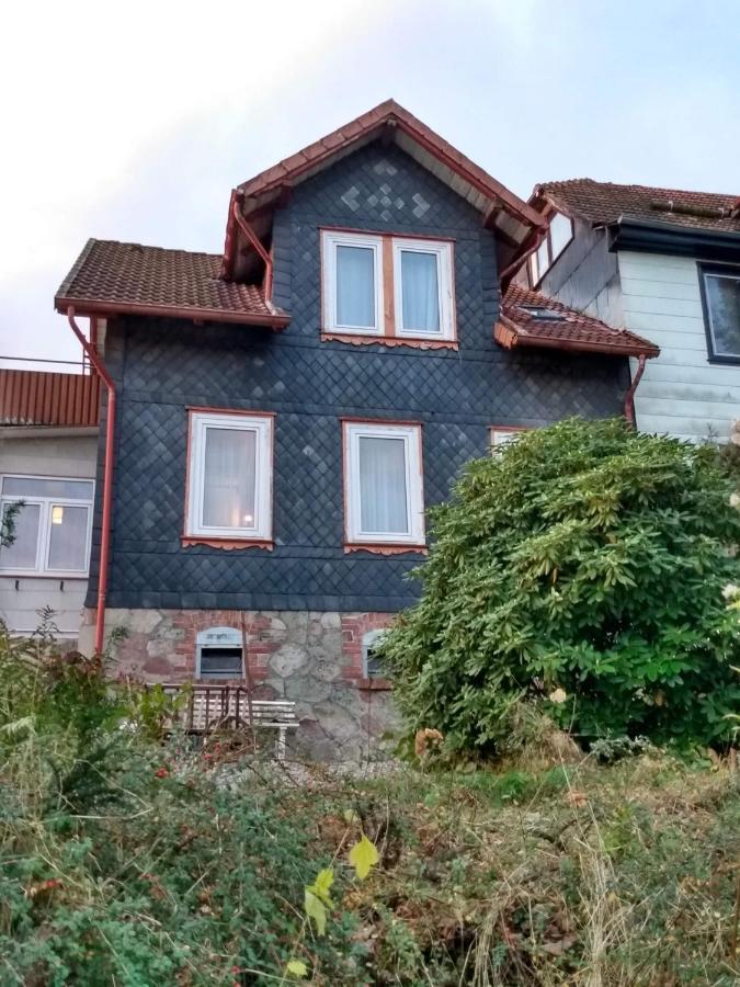 Vakantiehuis Julia Villa Bad Sachsa Esterno foto